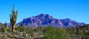 The charming barren Sonoran desert